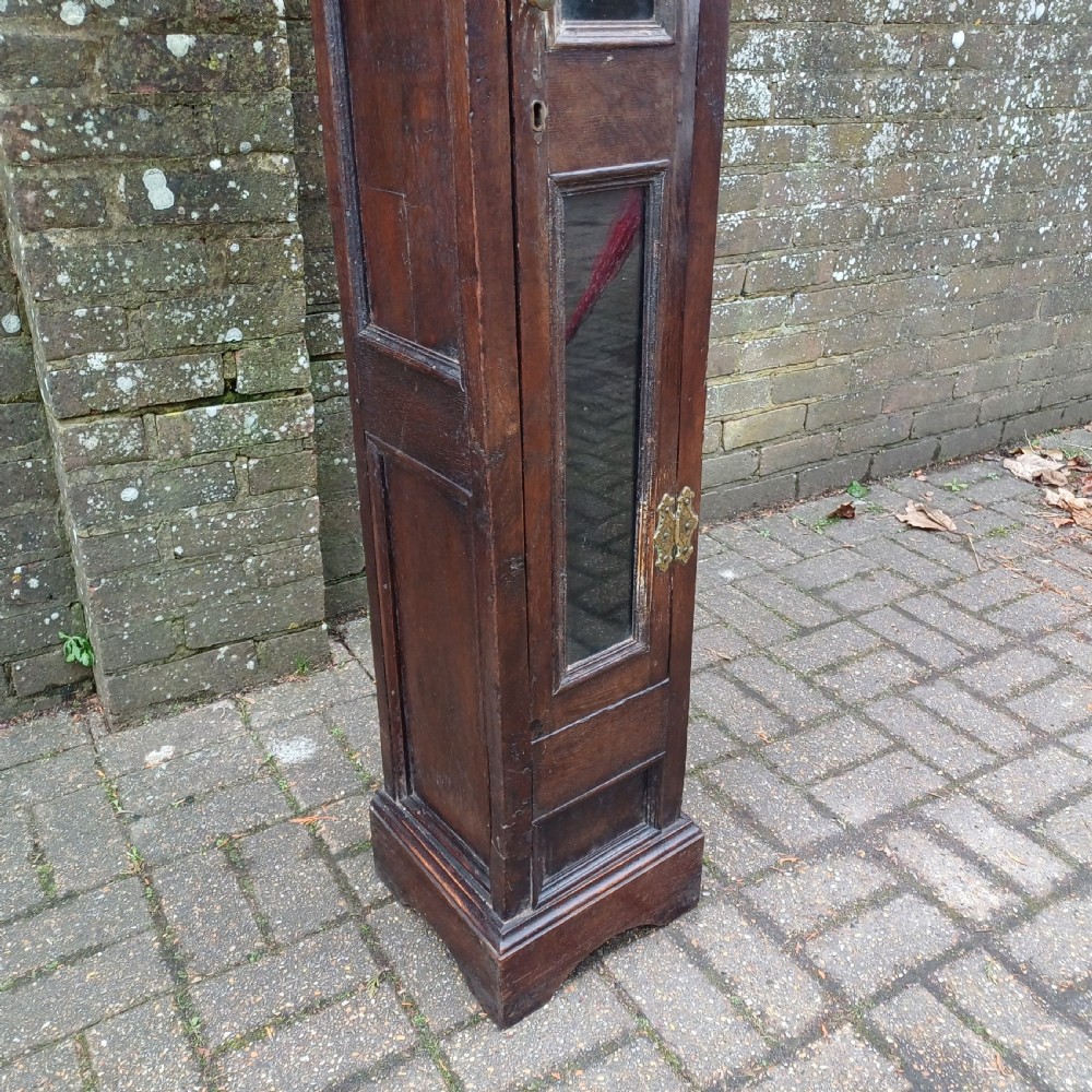 A tall, narrow Victorian dark oak gun cupboard featuring two glass panels set into a single front door with decorative brass hinges. View IV