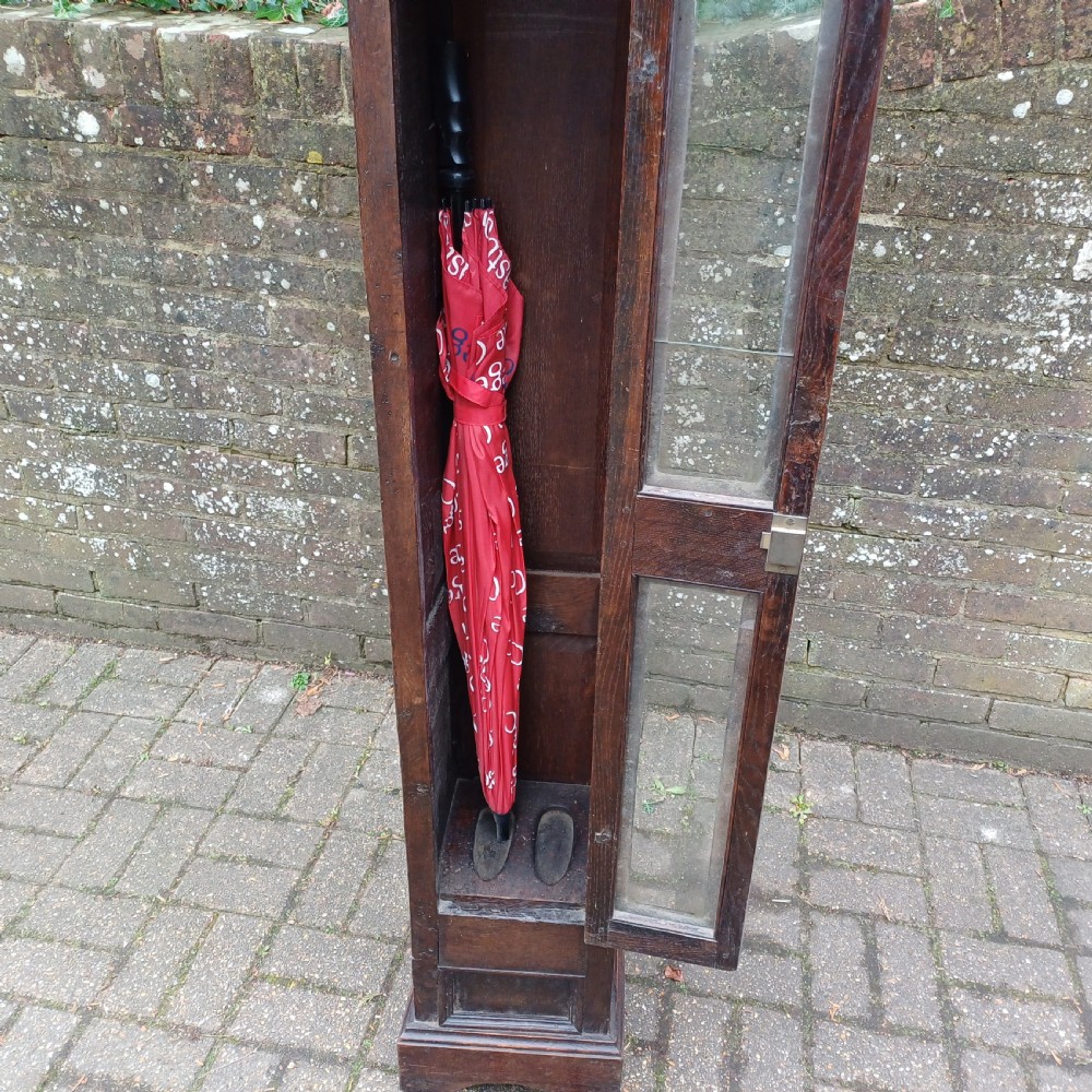 A tall, narrow Victorian dark oak gun cupboard featuring two glass panels set into a single front door with decorative brass hinges. View IX