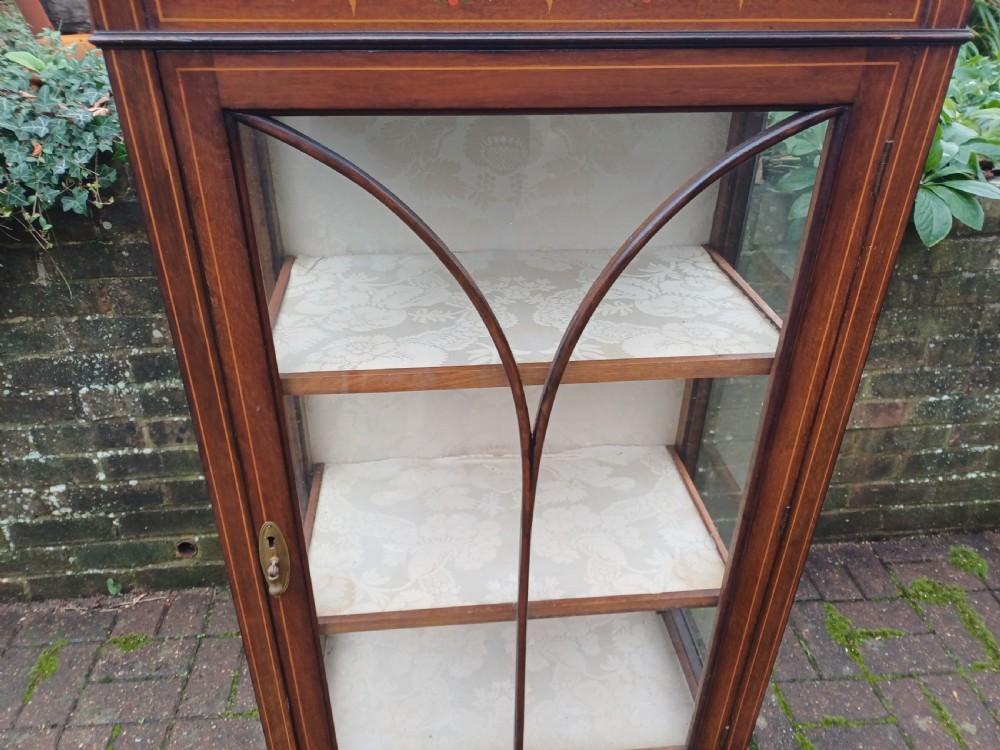 An Edwardian mahogany display cabinet featuring a glazed single door with curved glazing bars, satinwood marquetry inlay, fabric-lined shelves, and tapered square legs. View VIII