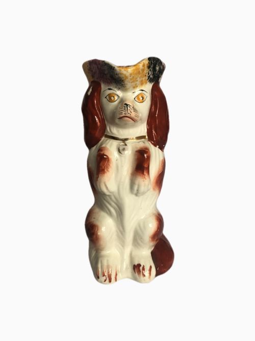 Antique Victorian Staffordshire Toby Jug of a Spaniel
