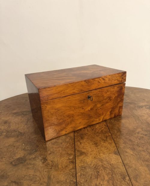 WONDERFUL QUALITY LARGE ANTIQUE REGENCY WALNUT TEA CADDY