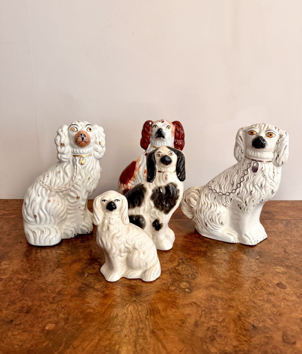 A collection of five antique hand-painted earthenware Staffordshire spaniel dog figurines featuring painted details, collar chains, and gilded highlights.