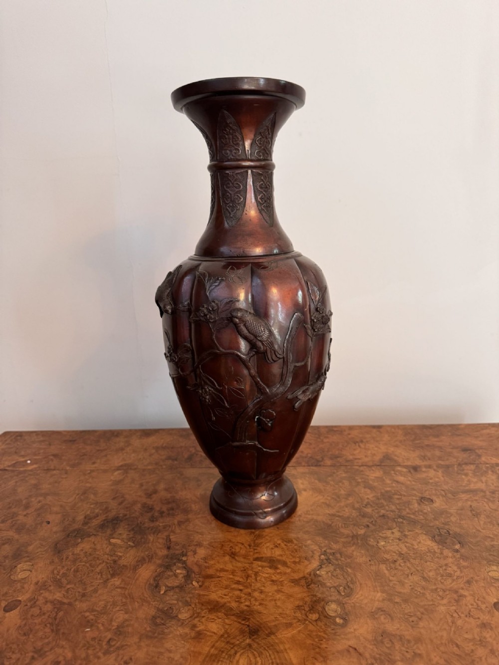 Alternate View