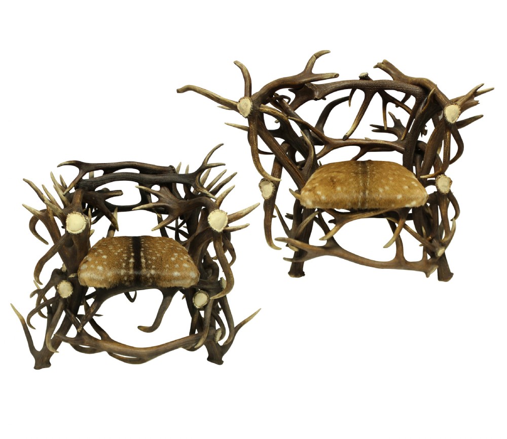 A pair of antique armchairs constructed from interwoven stag antlers with natural spotted hide seats.