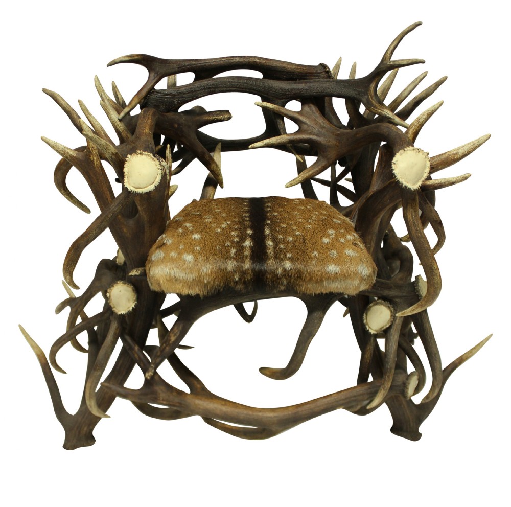 A pair of antique armchairs constructed from interwoven stag antlers with natural spotted hide seats. View VI