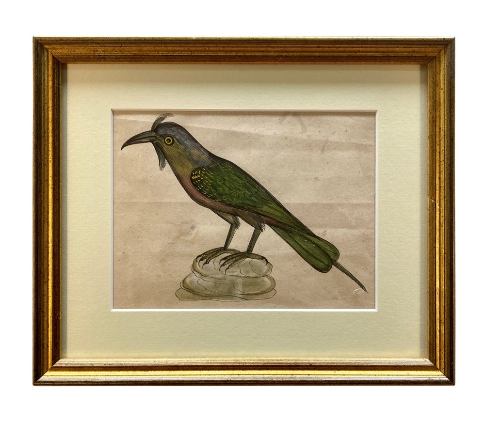 A set of eleven framed early nineteenth-century watercolours depicting various Indian bird species perched on branches and rocks, each displayed in a matching gold frame with a cream mount. View II