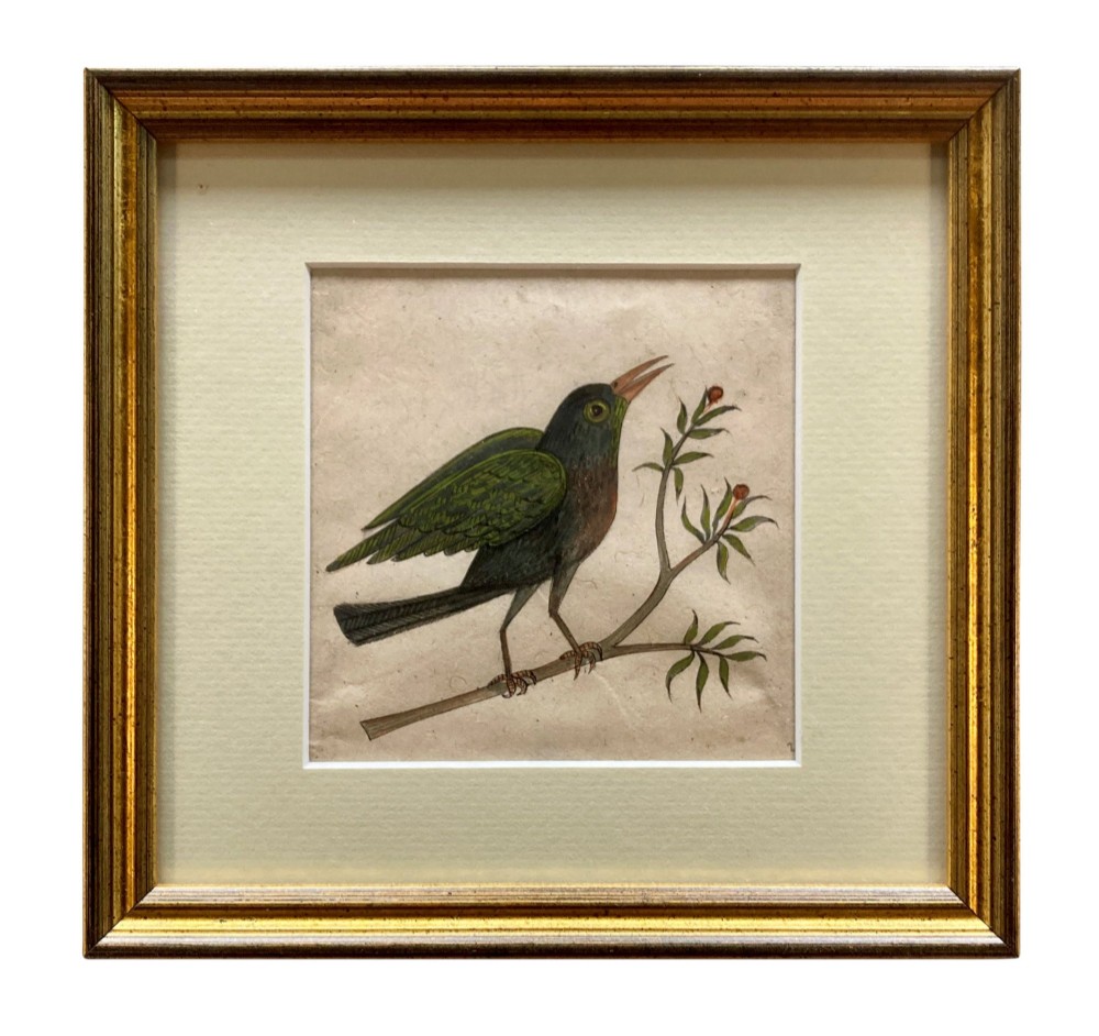 A set of eleven framed early nineteenth-century watercolours depicting various Indian bird species perched on branches and rocks, each displayed in a matching gold frame with a cream mount. View VIII