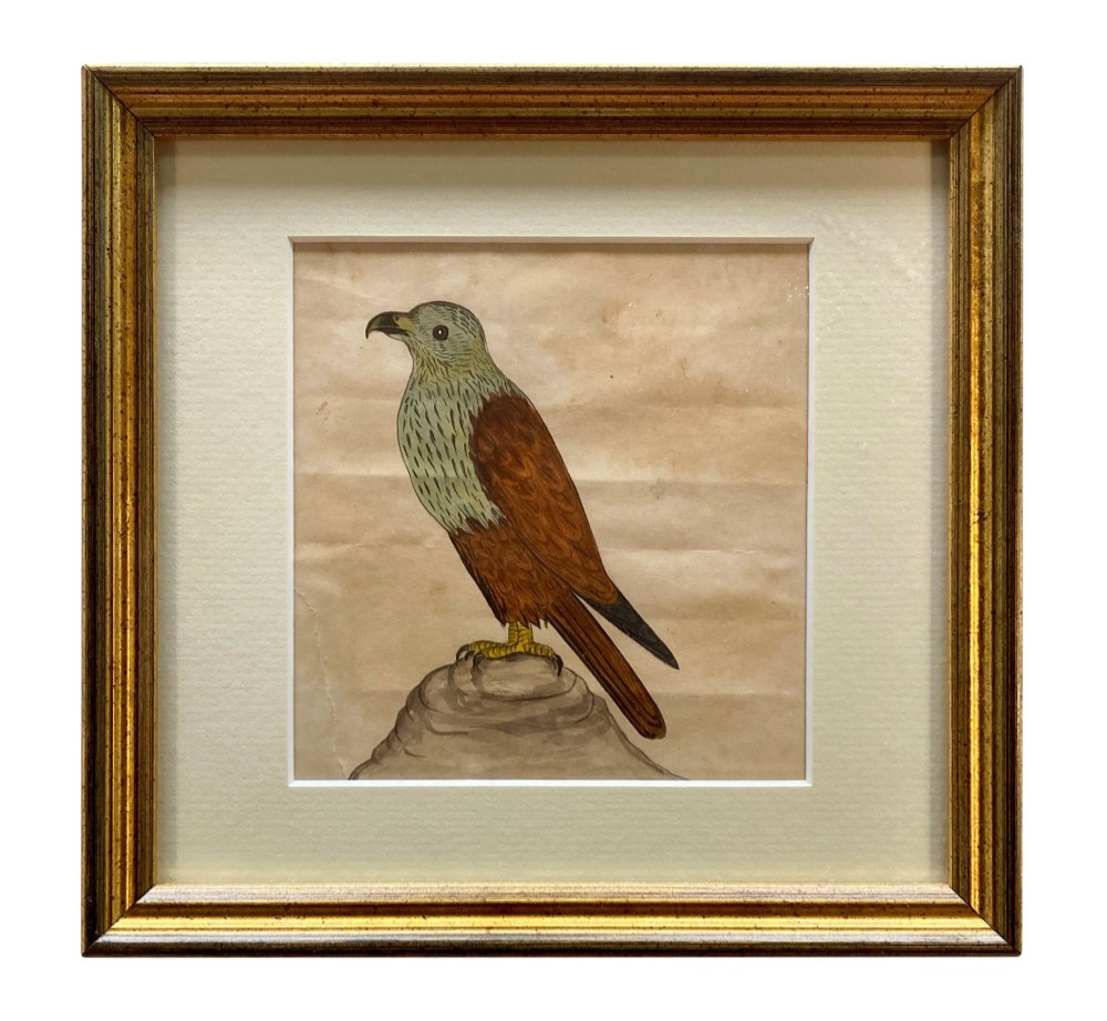 A set of eleven framed early nineteenth-century watercolours depicting various Indian bird species perched on branches and rocks, each displayed in a matching gold frame with a cream mount. View XI