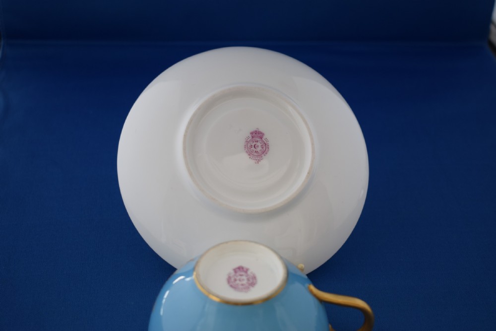 Royal Worcester artist signed cup and saucer View IV