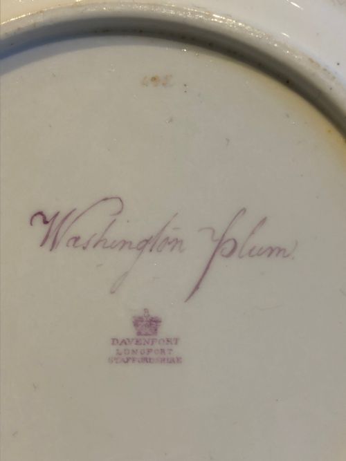DAVENPORT HANDPAINTED DESSERT PLATES SET OF 10 1830 - ADDITIONAL PHOTO 16