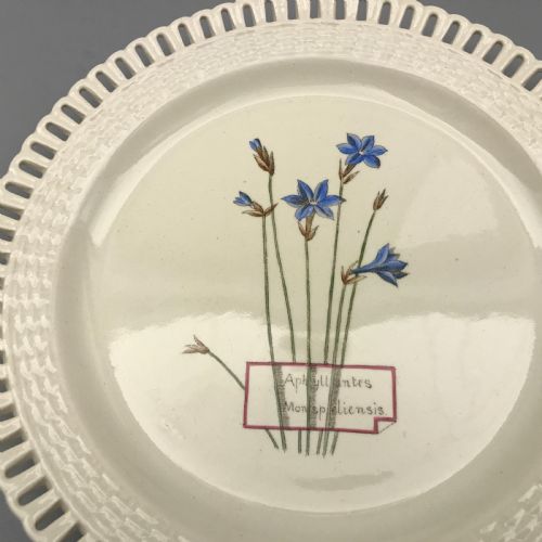 MINTON CREAMWARE BOTANICAL DESSERT SERVICE 18601870 - ADDITIONAL PHOTO 4