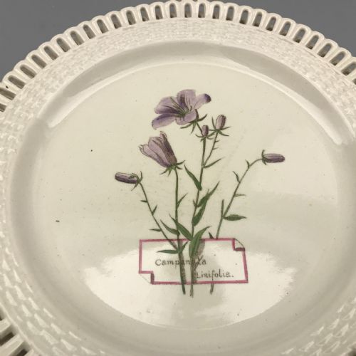 MINTON CREAMWARE BOTANICAL DESSERT SERVICE 18601870 - ADDITIONAL PHOTO 7
