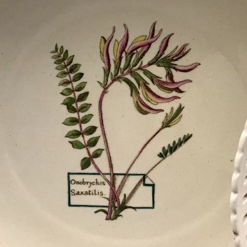 MINTON CREAMWARE BOTANICAL DESSERT SERVICE 18601870 - ADDITIONAL PHOTO 9