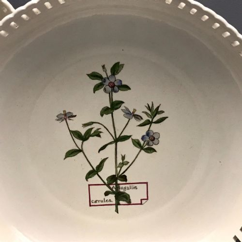 MINTON CREAMWARE BOTANICAL DESSERT SERVICE 18601870 - ADDITIONAL PHOTO 10