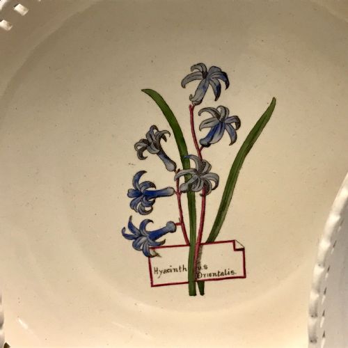 MINTON CREAMWARE BOTANICAL DESSERT SERVICE 18601870 - ADDITIONAL PHOTO 11