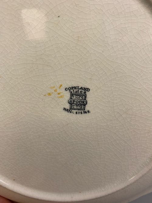 COPELAND SPODE DESSERT SERVICE IN PARROT CHINTZ PATTERN 1890 - ADDITIONAL PHOTO 5