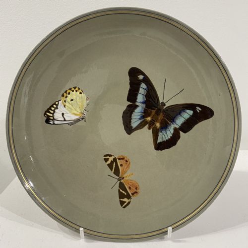 PAIR OF MINTON BUTTERFLY CHARGERS 1860 - ADDITIONAL PHOTO 1