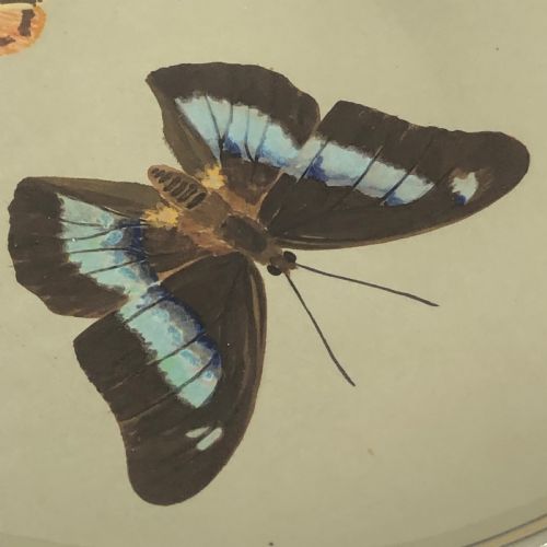 PAIR OF MINTON BUTTERFLY CHARGERS 1860 - ADDITIONAL PHOTO 2