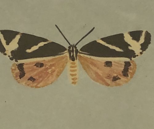 PAIR OF MINTON BUTTERFLY CHARGERS 1860 - ADDITIONAL PHOTO 3