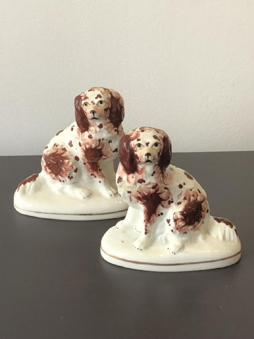 a pair of porcelain staffordshire dogs on white bases circa 1830 - CATEGORY: ANTIQUE CERAMICS - DATED REGENCY