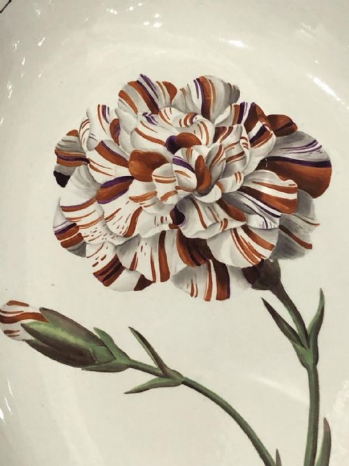 BOTANICAL DAVENPORT CREAMWARE DESSERTWARE 18051815 - ADDITIONAL PHOTO 13