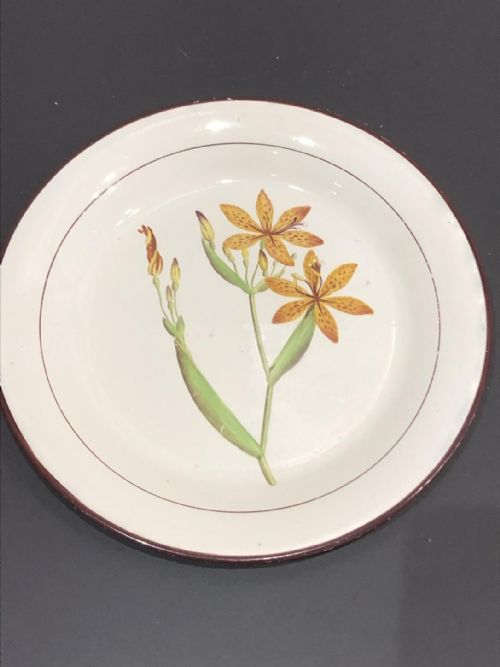 BOTANICAL DAVENPORT CREAMWARE DESSERTWARE 18051815 - ADDITIONAL PHOTO 16