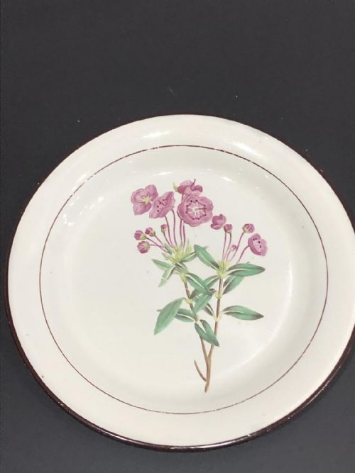 BOTANICAL DAVENPORT CREAMWARE DESSERTWARE 18051815 - ADDITIONAL PHOTO 17