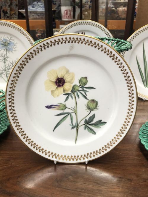 4 CHAMBERLAIN WORCESTER PORCELAIN BOTANICAL PLATES CIRCA 18101815 - ADDITIONAL PHOTO 1