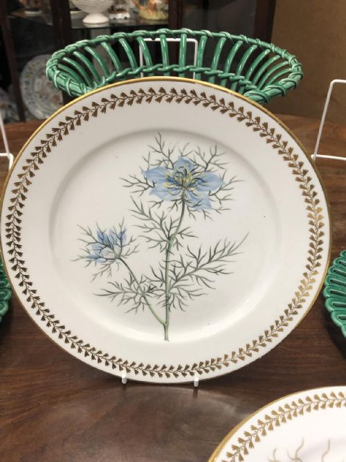 4 CHAMBERLAIN WORCESTER PORCELAIN BOTANICAL PLATES CIRCA 18101815 - ADDITIONAL PHOTO 3