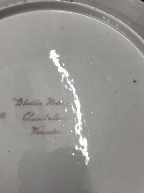 4 CHAMBERLAIN WORCESTER PORCELAIN BOTANICAL PLATES CIRCA 18101815 - ADDITIONAL PHOTO 4