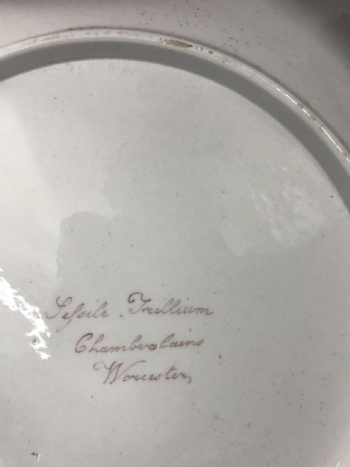 4 CHAMBERLAIN WORCESTER PORCELAIN BOTANICAL PLATES CIRCA 18101815 - ADDITIONAL PHOTO 6