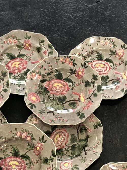 EARLY ENGLISH SPODE CHINTZDESSERT SERVICE 1820 - ADDITIONAL PHOTO 2