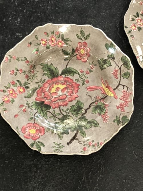 EARLY ENGLISH SPODE CHINTZDESSERT SERVICE 1820 - ADDITIONAL PHOTO 3