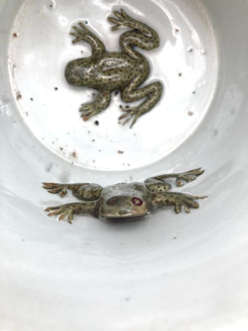 A TWO HANDLED HANDPAINTED LOVING MUG PAINTED WITH FLOWERS WITH THREE FROGS INSIDE 1850 - ADDITIONAL PHOTO 4