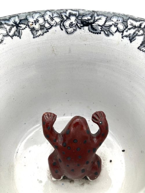 A BLACK TRANSFER PEDESTAL LOVING MUG WITH FROG 1840'S - ADDITIONAL PHOTO 5