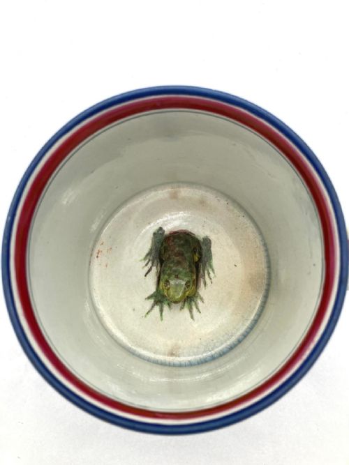 PEARLWARE HANDPAINTED FROG MUG WITH NAME AND DATE 1830 - ADDITIONAL PHOTO 4