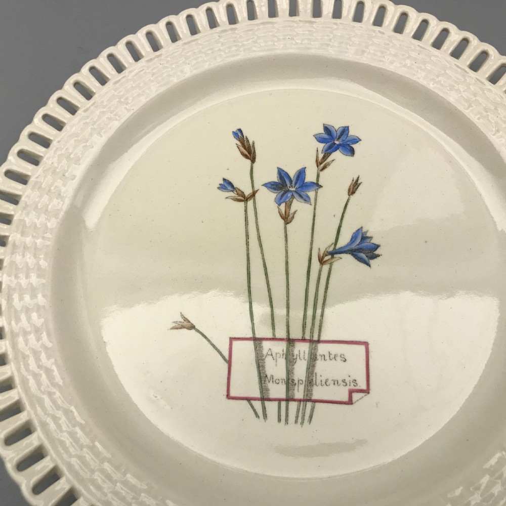 Minton Creamware Botanical Dessert Service (1860-1870) View V