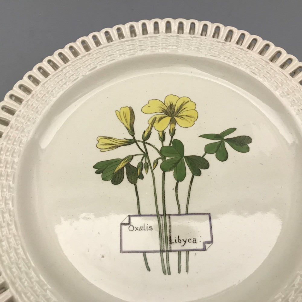 Minton Creamware Botanical Dessert Service (1860-1870) View VI