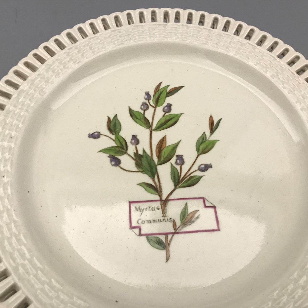 Minton Creamware Botanical Dessert Service (1860-1870) View VII