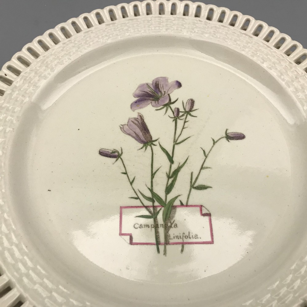 Minton Creamware Botanical Dessert Service (1860-1870) View VIII