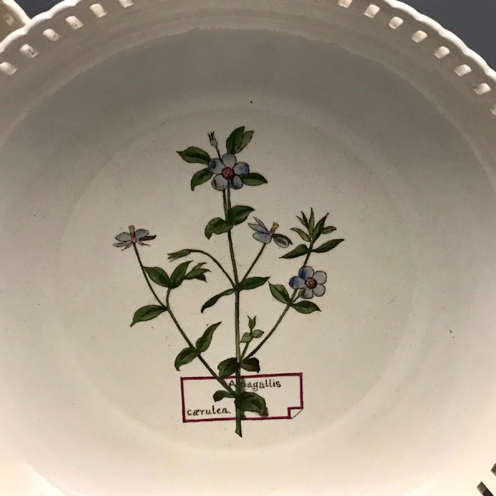 Minton Creamware Botanical Dessert Service (1860-1870) View XI