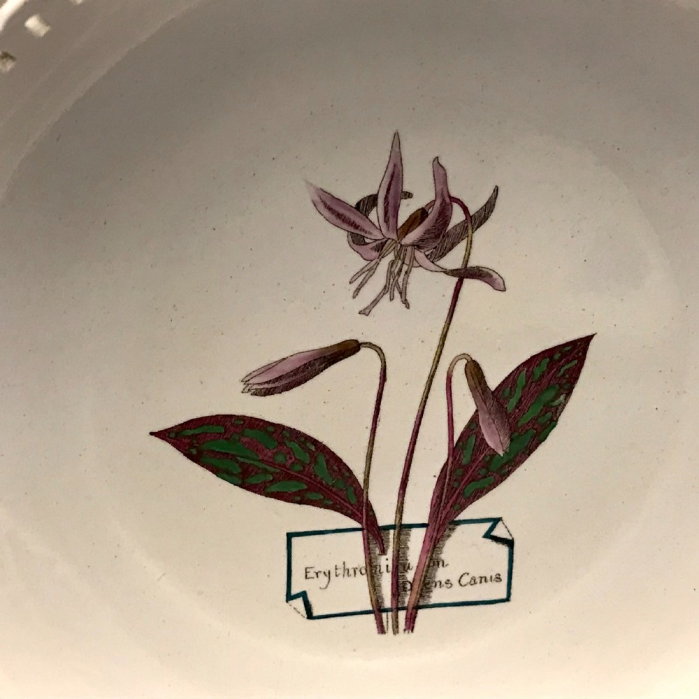 Minton Creamware Botanical Dessert Service (1860-1870) View XIII