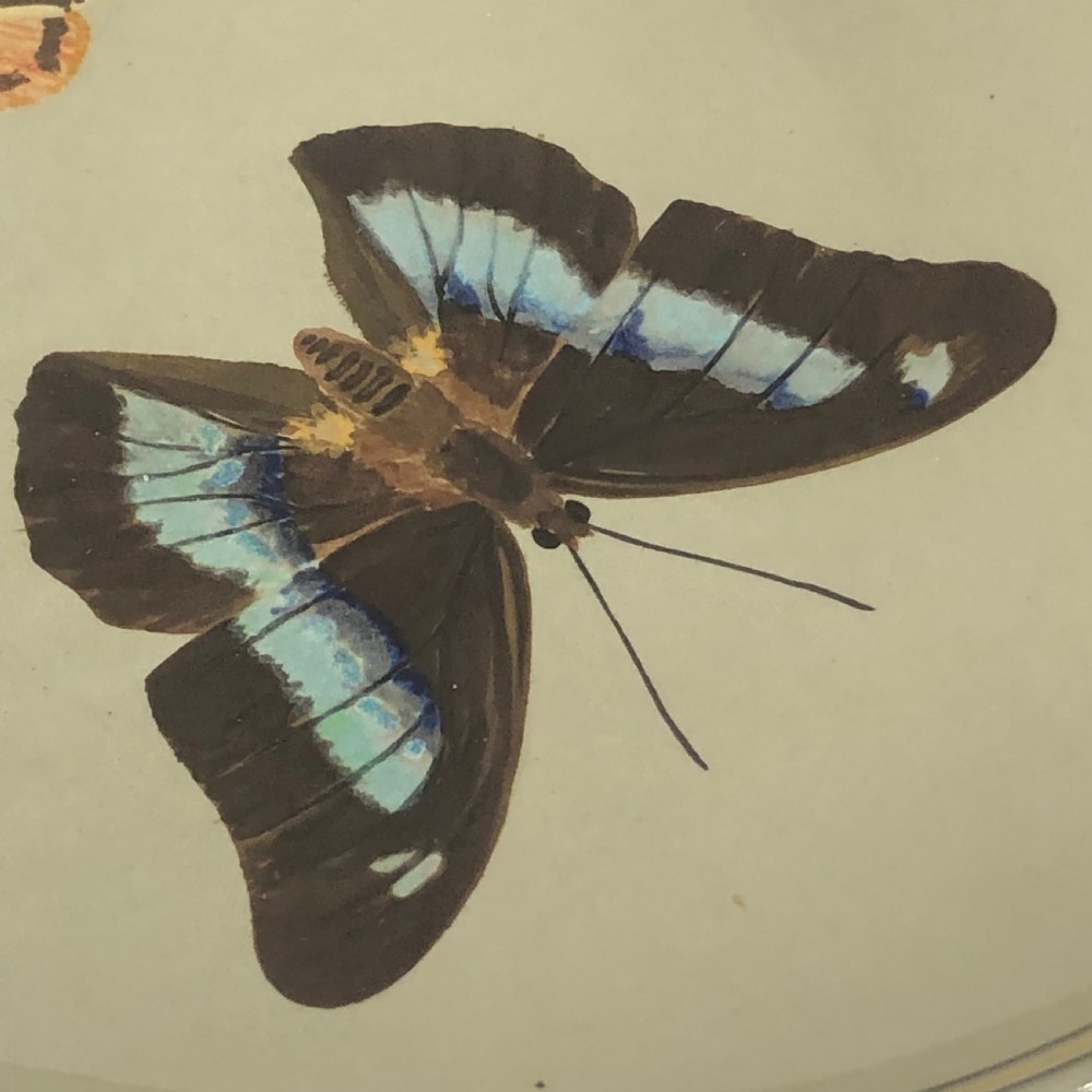 Pair of Minton Butterfly Chargers 1860 View III