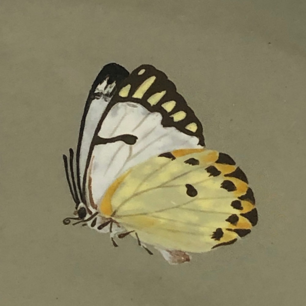Pair of Minton Butterfly Chargers 1860 View V