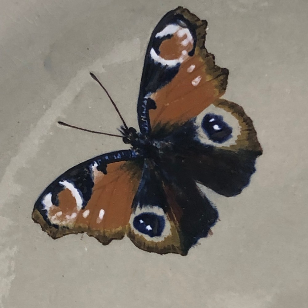 Pair of Minton Butterfly Chargers 1860 View IX