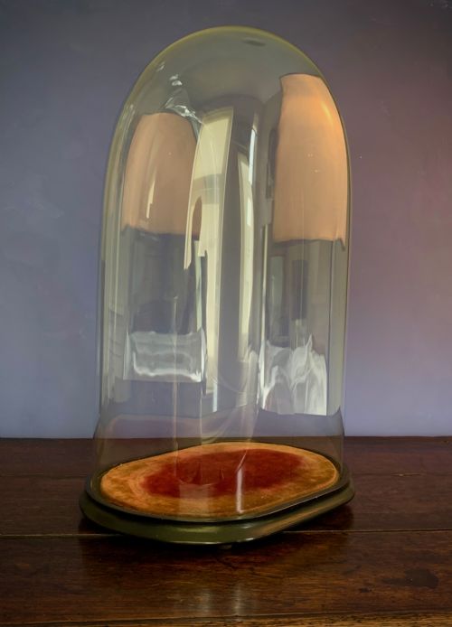 LARGE OVAL VICTORIAN GLASS DISPLAY DOME - ADDITIONAL PHOTO 2