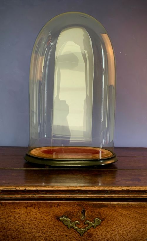 LARGE OVAL VICTORIAN GLASS DISPLAY DOME - ADDITIONAL PHOTO 5