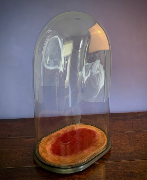 LARGE OVAL VICTORIAN GLASS DISPLAY DOME - ADDITIONAL PHOTO 3