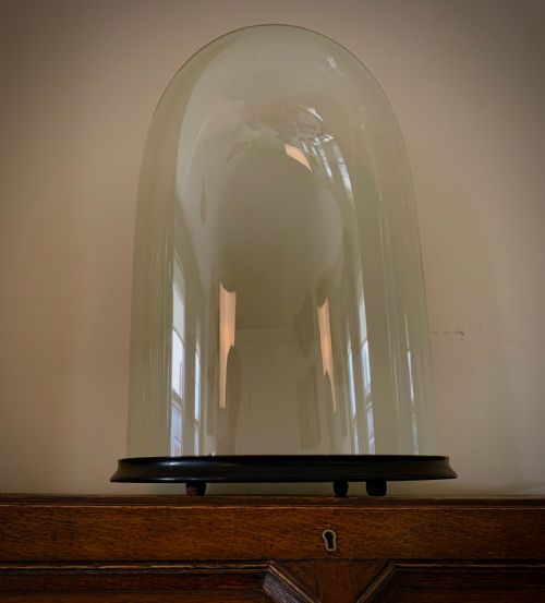 LARGE OVAL VICTORIAN GLASS DISPLAY DOME - ADDITIONAL PHOTO 1