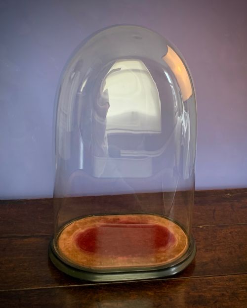 LARGE OVAL VICTORIAN GLASS DISPLAY DOME - ADDITIONAL PHOTO 4